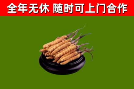 余江烟酒回收冬虫夏草.jpg